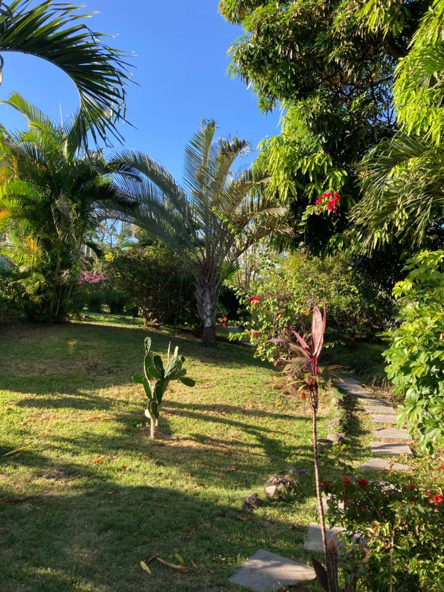 La Maracuya Panama Bed & Breakfast Playa Coronado Eksteriør bilde