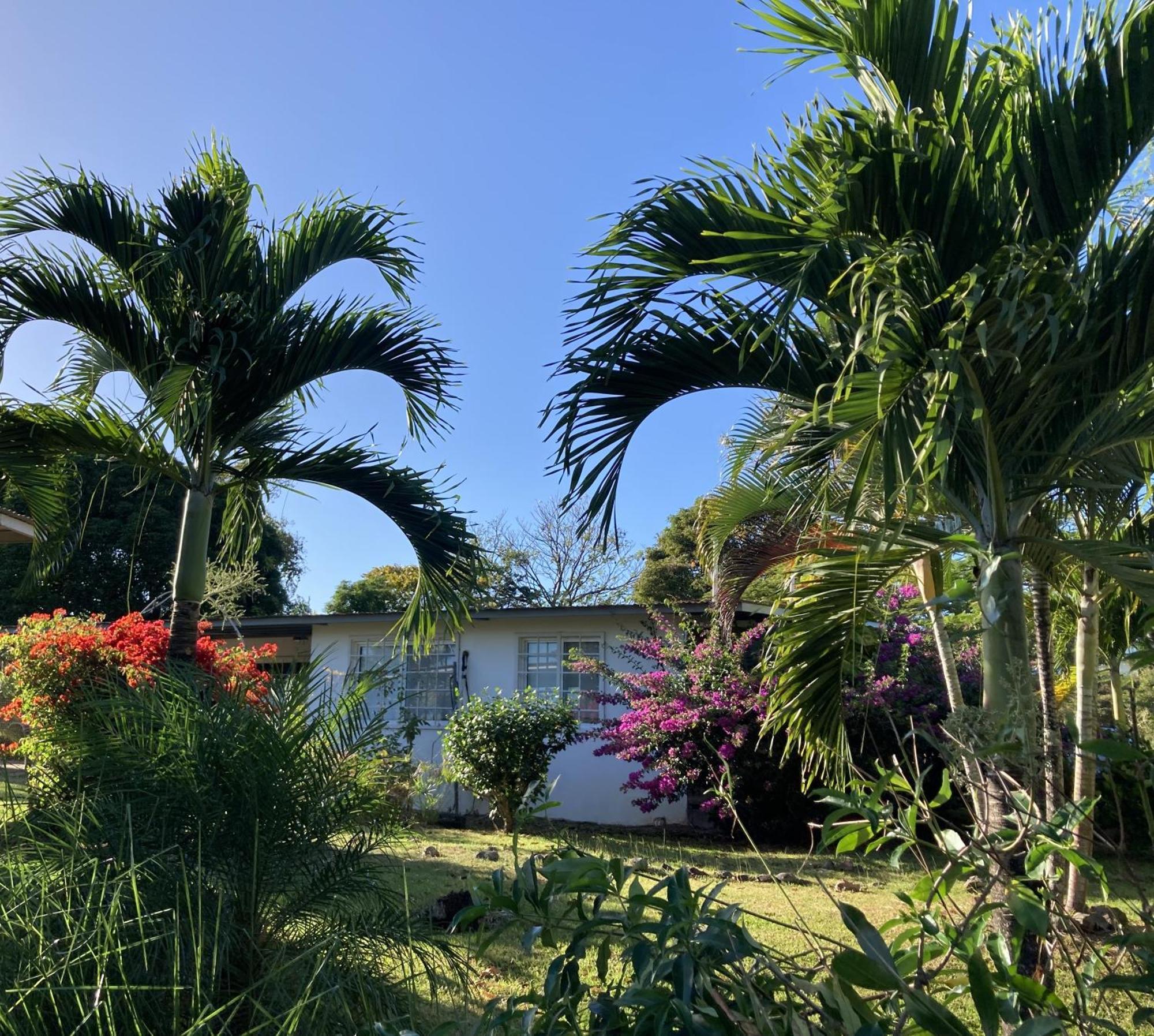 La Maracuya Panama Bed & Breakfast Playa Coronado Eksteriør bilde