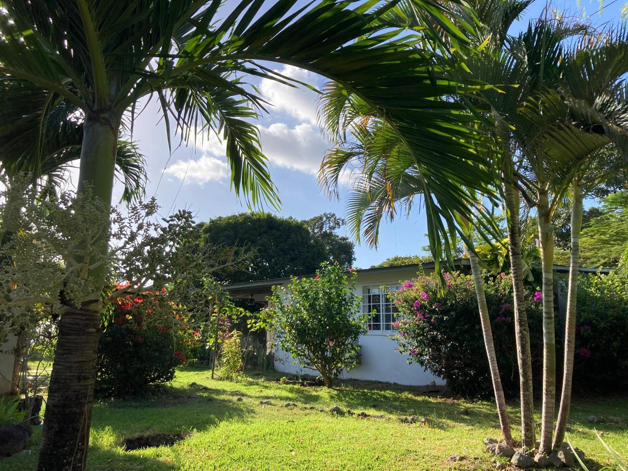 La Maracuya Panama Bed & Breakfast Playa Coronado Eksteriør bilde