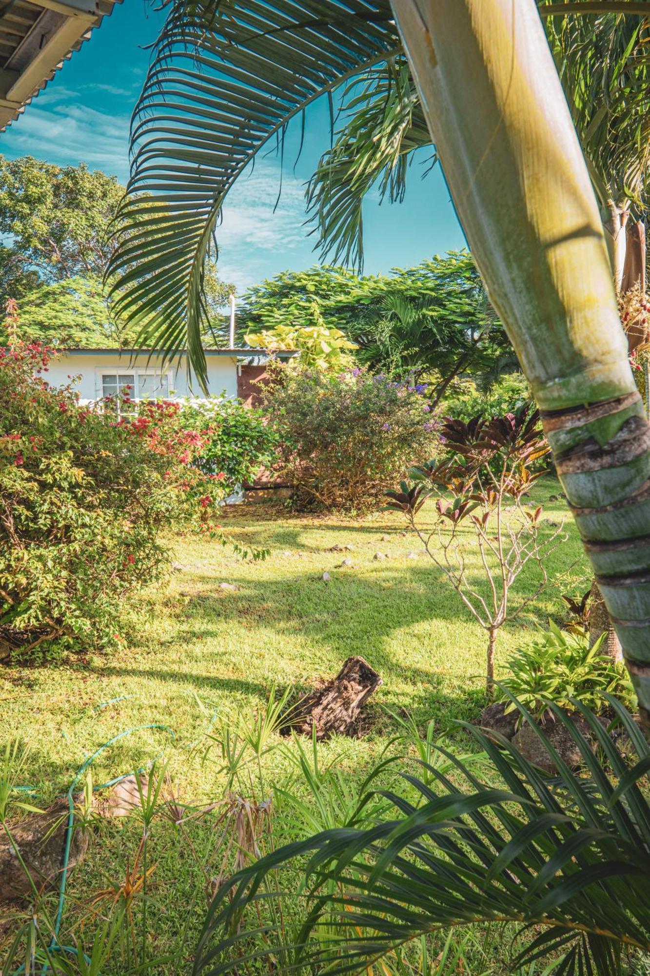 La Maracuya Panama Bed & Breakfast Playa Coronado Eksteriør bilde